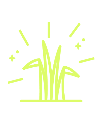 icon-rice-banner.png