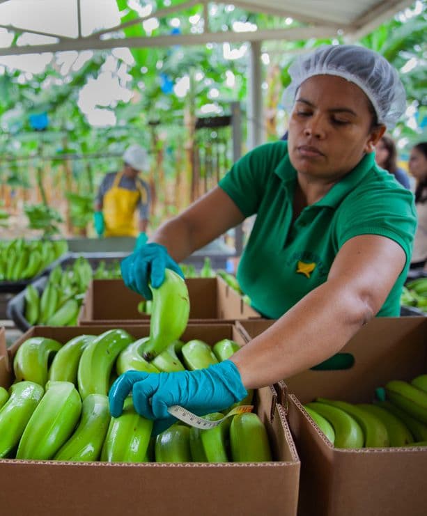 inset-bananas.jpg
